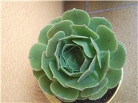 1d72cc30-Picture 045.jpg